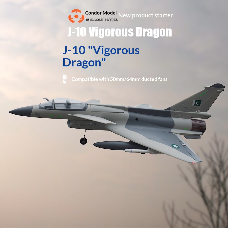 SH-EAGLE MODEL J-10 Vigorous D - Model Kit Instructions avaliação e preço