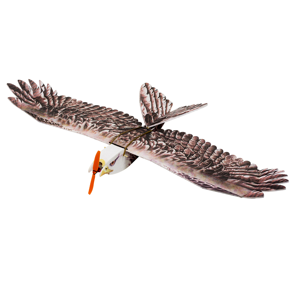 DW Hobby Eagle II EPP Airplane - Model Kit Instructions avaliação e preço