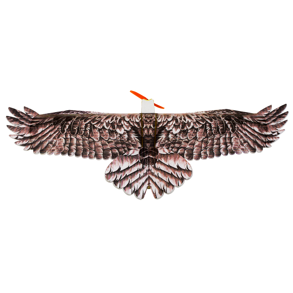 DW Hobby Eagle II EPP Airplane - Model Kit Instructions avaliação e preço